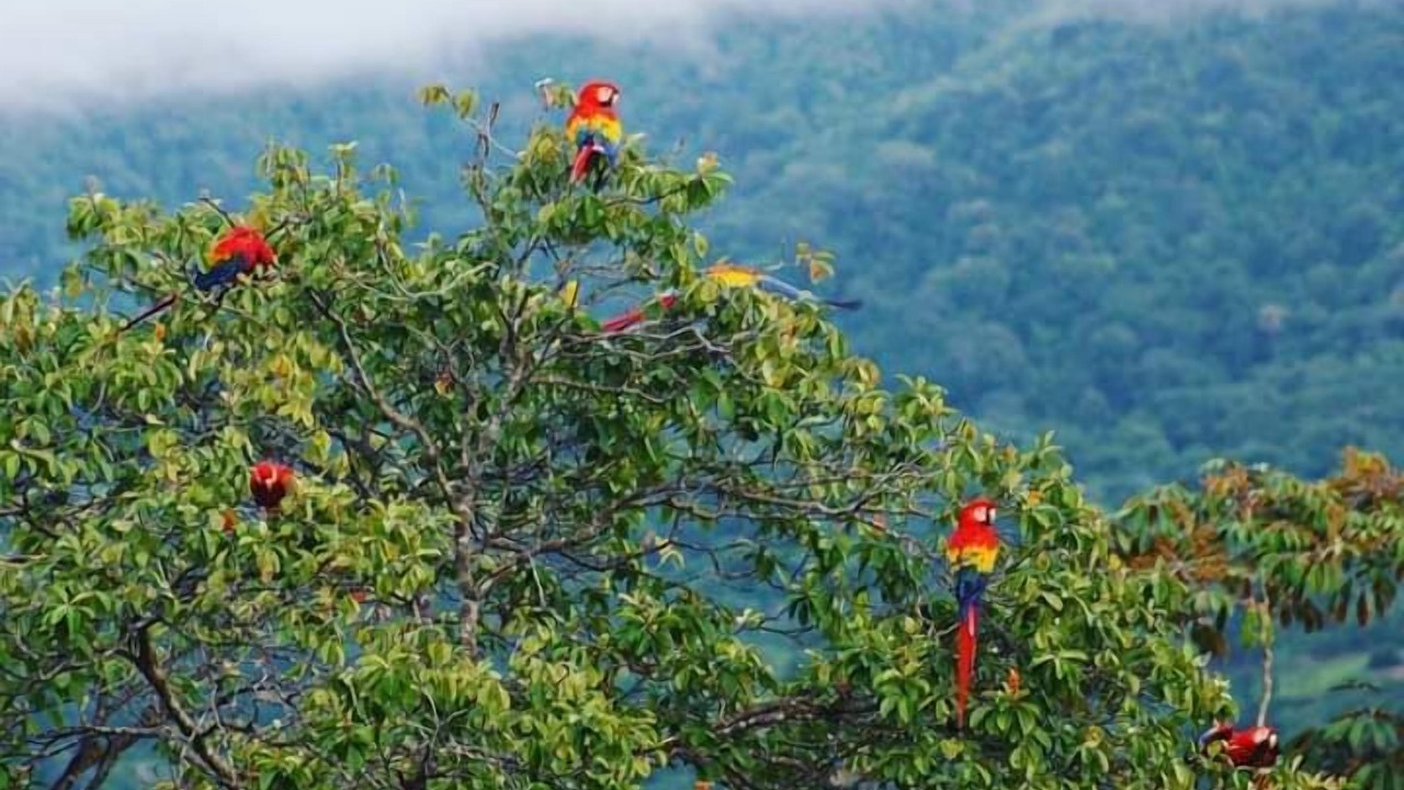 Photo of Outdoor in Ciudad Cortes