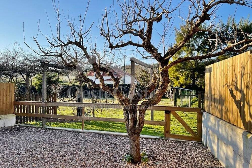 Photo of Outdoor in Vimeiro
