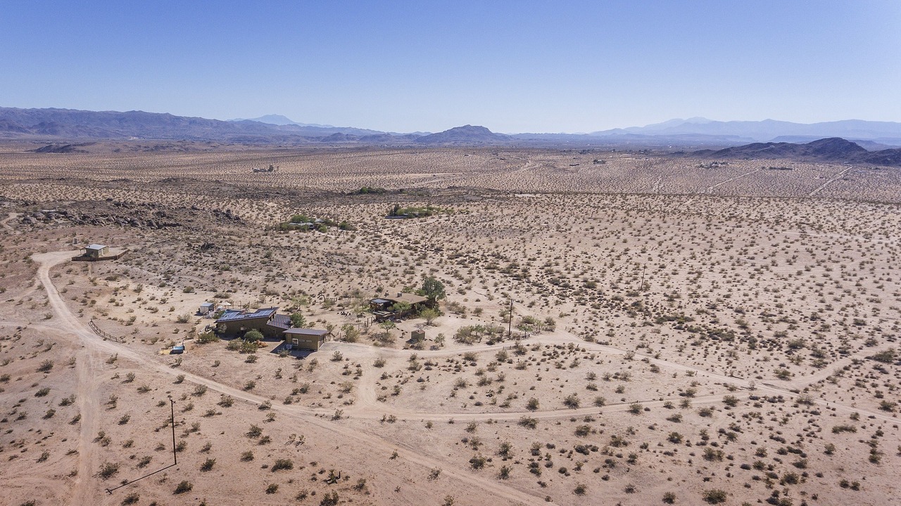 Photo of Others in Joshua Tree