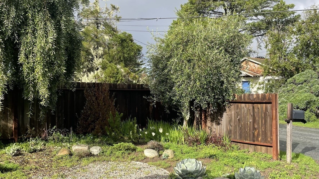 Photo of Outdoor in Happy Hill