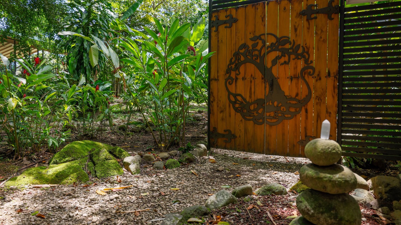 Photo of Outdoor in Ballena