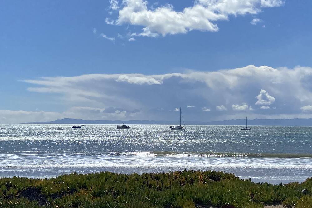 Photo of Others in East Beach