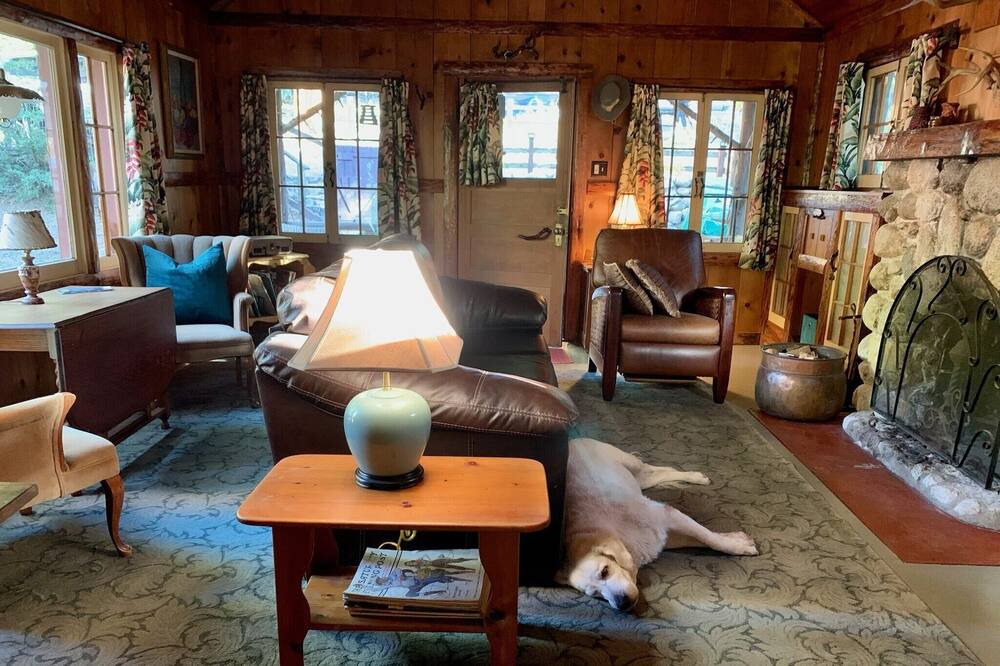 Photo of Others in Idyllwild