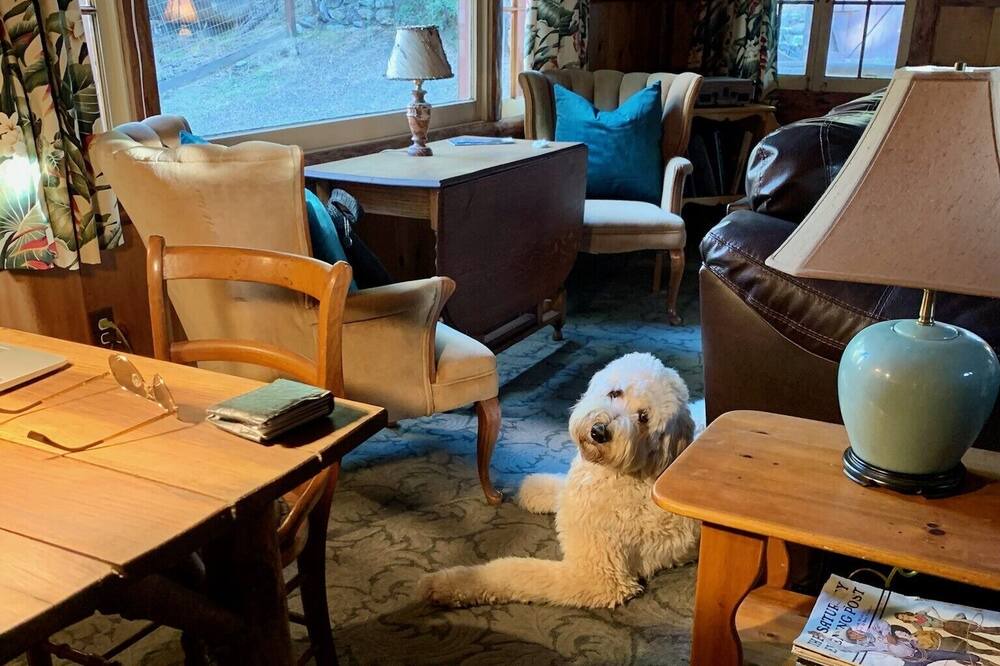 Photo of Others in Idyllwild