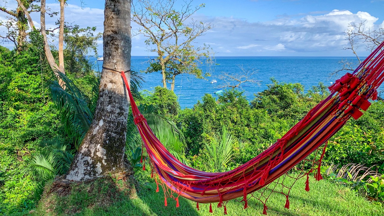 Photo of Outdoor in Drake Bay