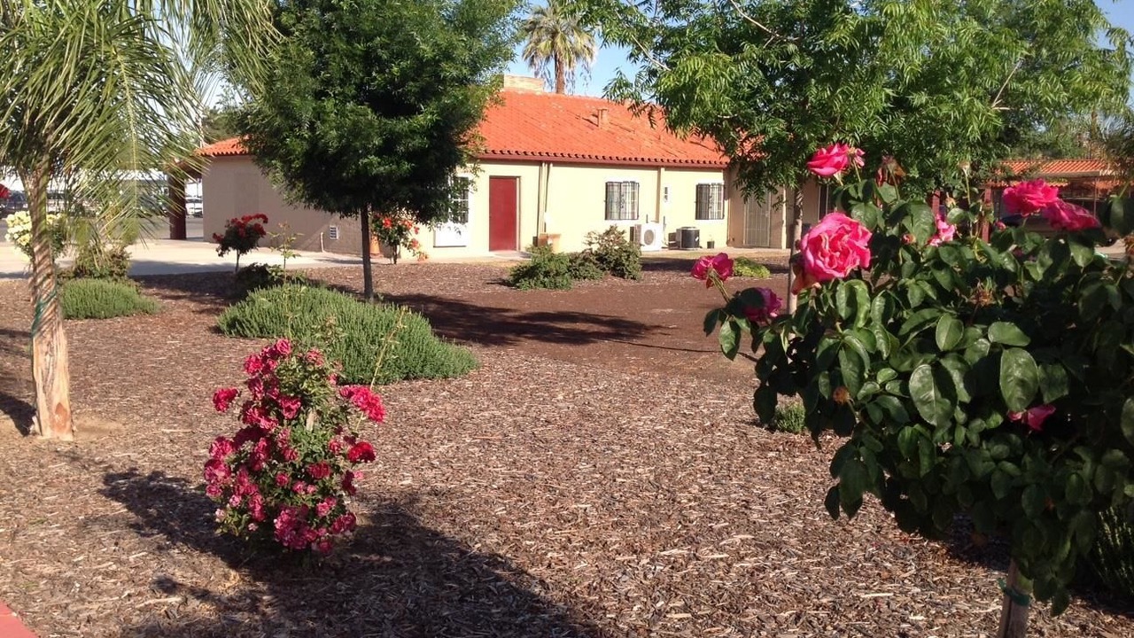 Photo of Outdoor in Porterville