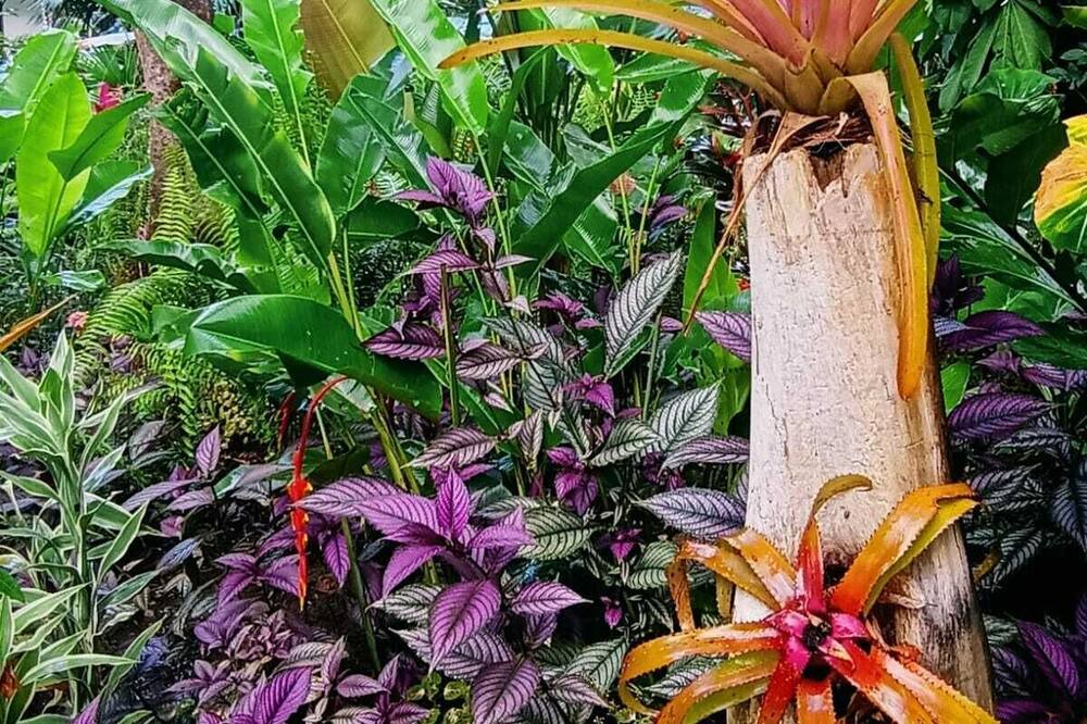Photo of Outdoor in Punta Uva