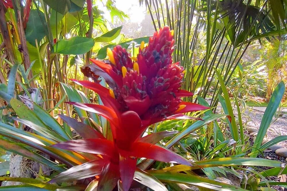 Photo of Outdoor in Punta Uva