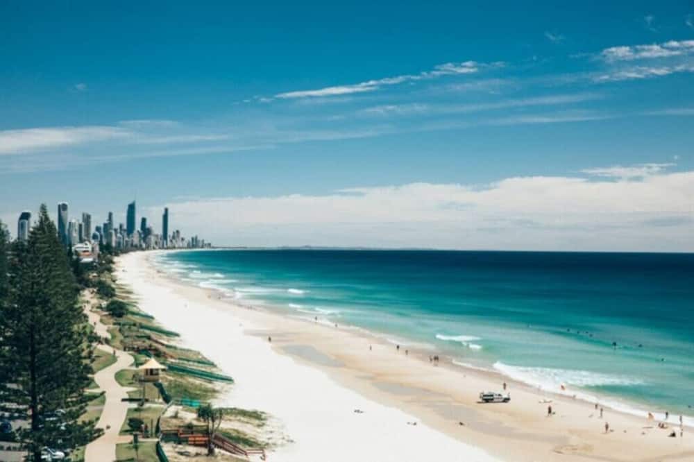 Photo of Others in Miami