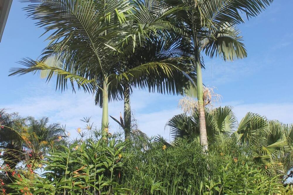 Photo of Outdoor in Ciudad Cortes