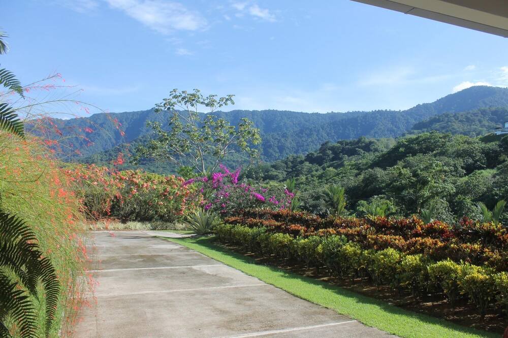 Photo of Outdoor in Ciudad Cortes