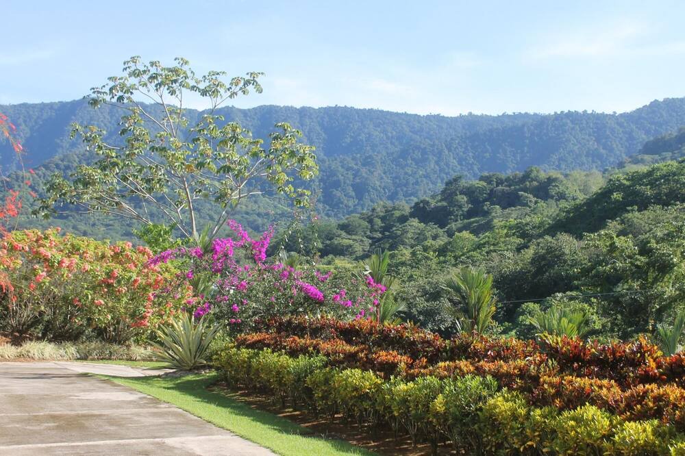 Photo of Outdoor in Ciudad Cortes