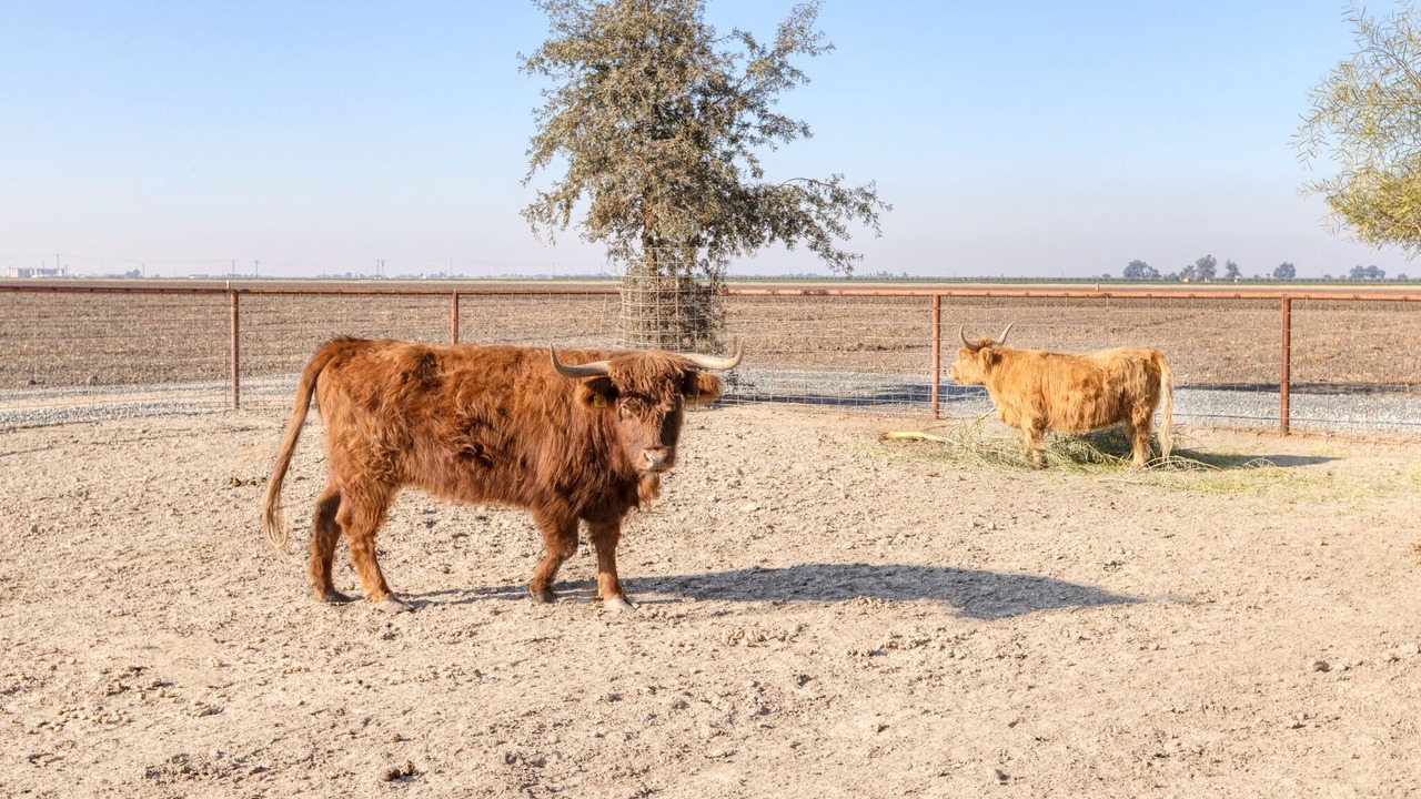 Photo of Others in Tulare