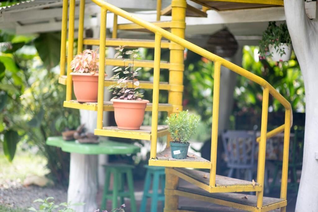 Photo of Outdoor in Cocles