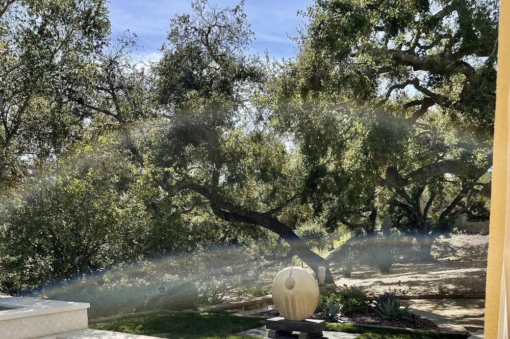 Photo of Outdoor in Oak View