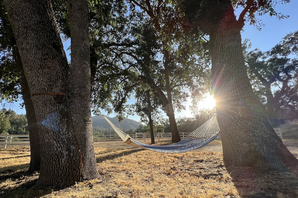Photo of Others in California Hot Springs