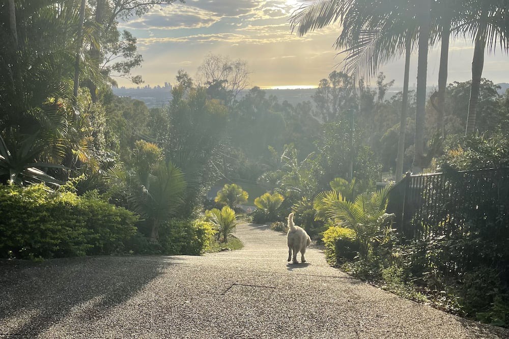 Photo of Others in Mudgeeraba