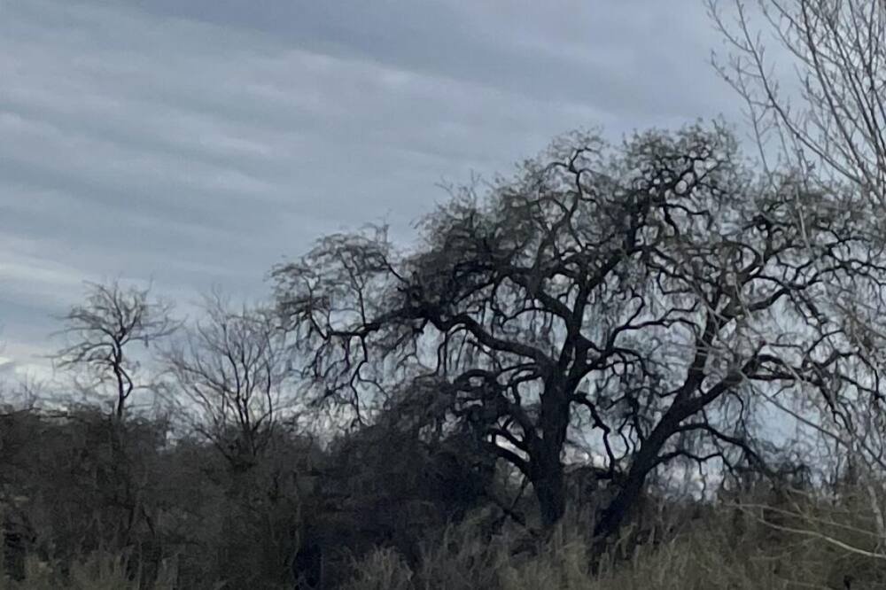 Photo of Outdoor in Raisin