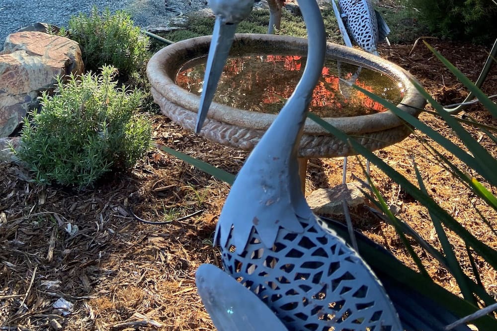 Photo of Outdoor in Browns Valley