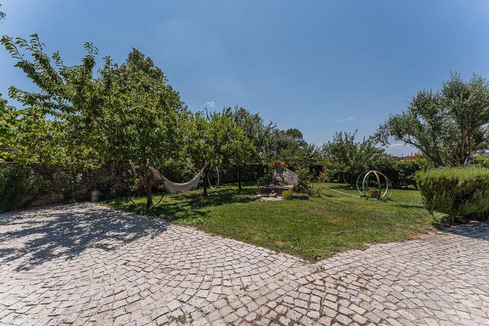 Photo of Outdoor in Mangualde