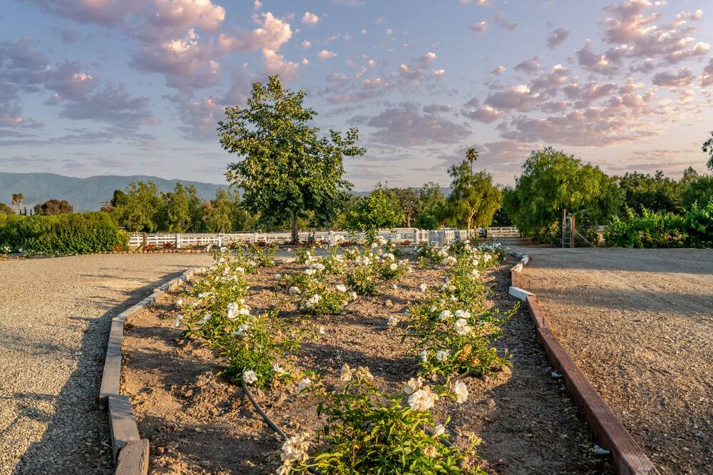 Photo of Others in Santa Ynez