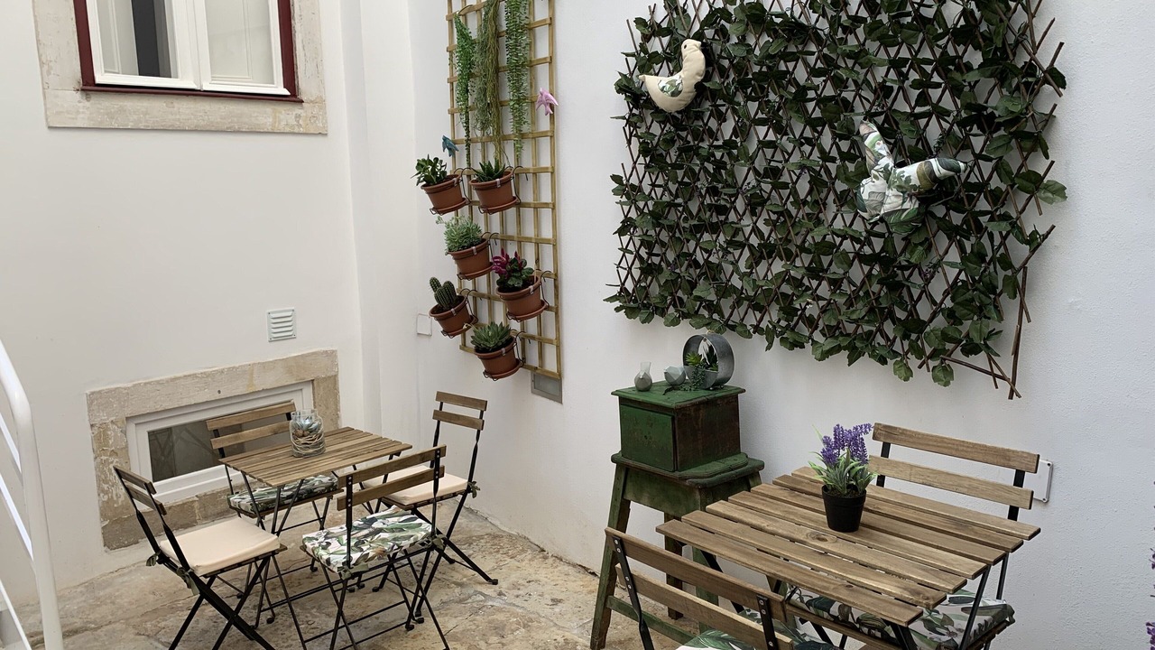 Photo of Outdoor in Coimbra City Centre