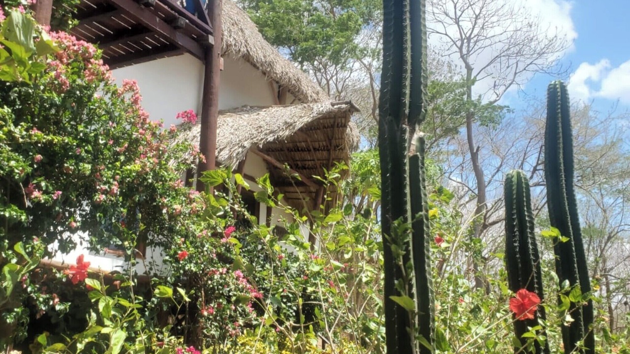 Photo of Outdoor in Playa Colorado