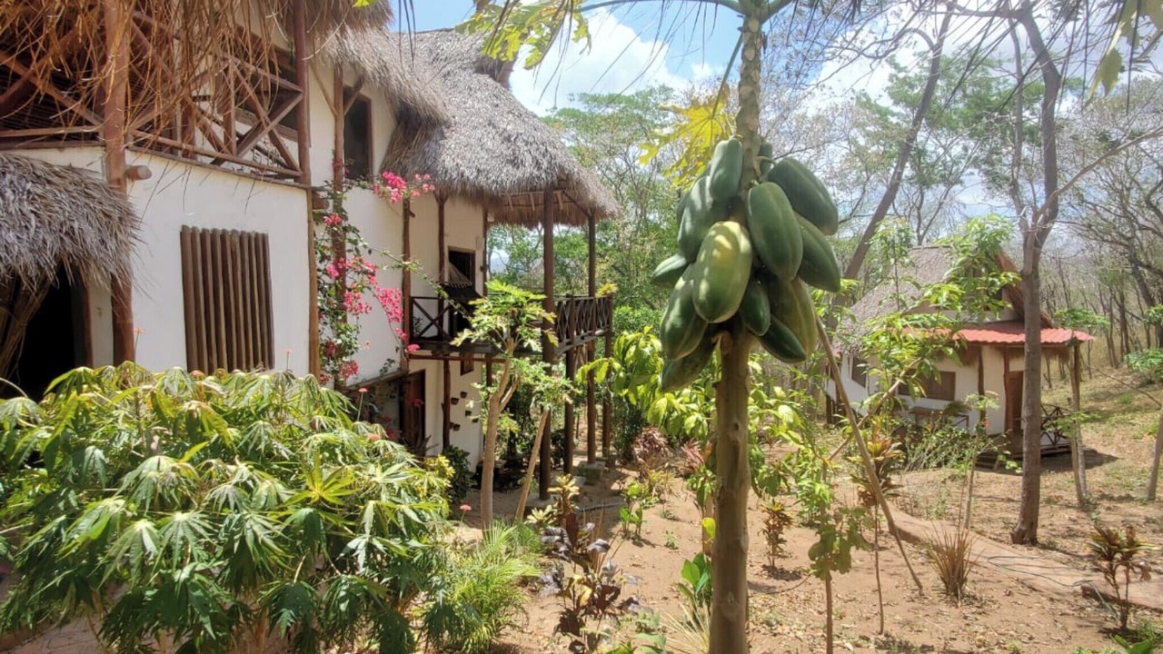 Photo of Outdoor in Playa Colorado