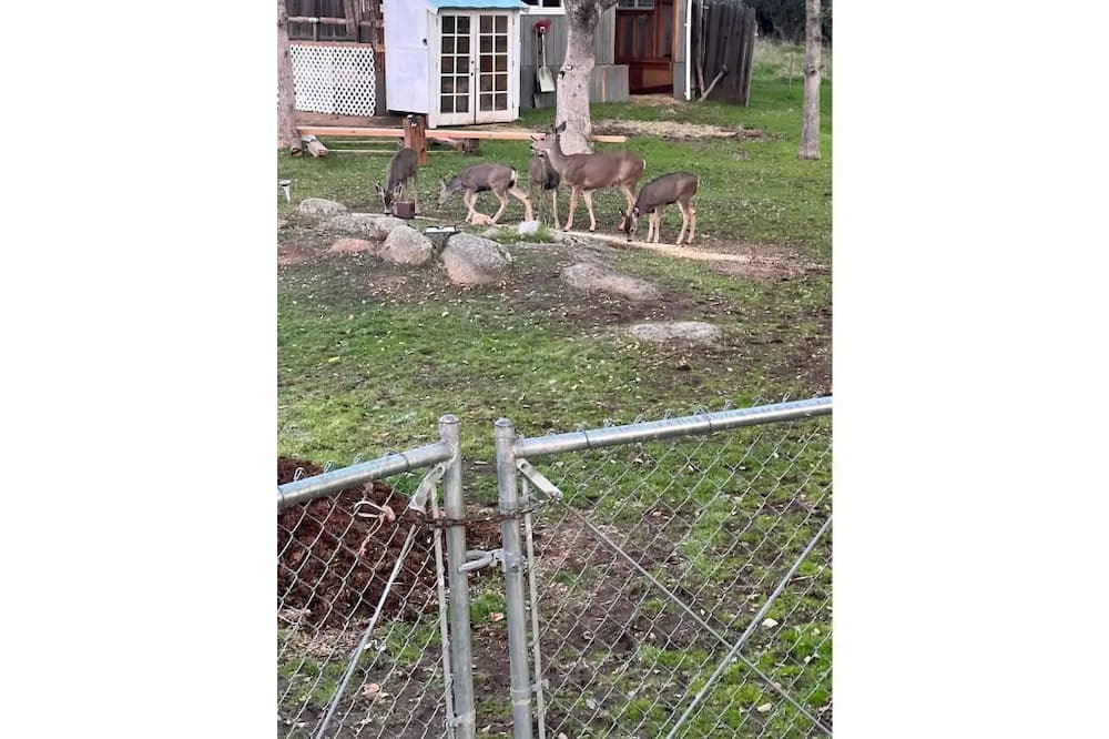 Photo of Outdoor in Squaw Valley