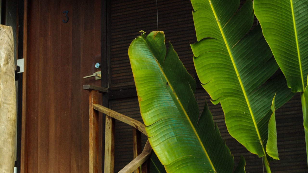 Photo of Bedroom in Rancho Santana