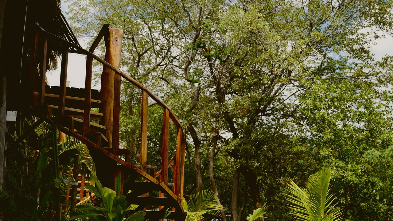 Photo of Outdoor in Rancho Santana