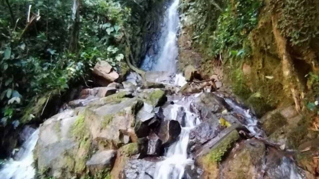 Photo of Outdoor in Rivas