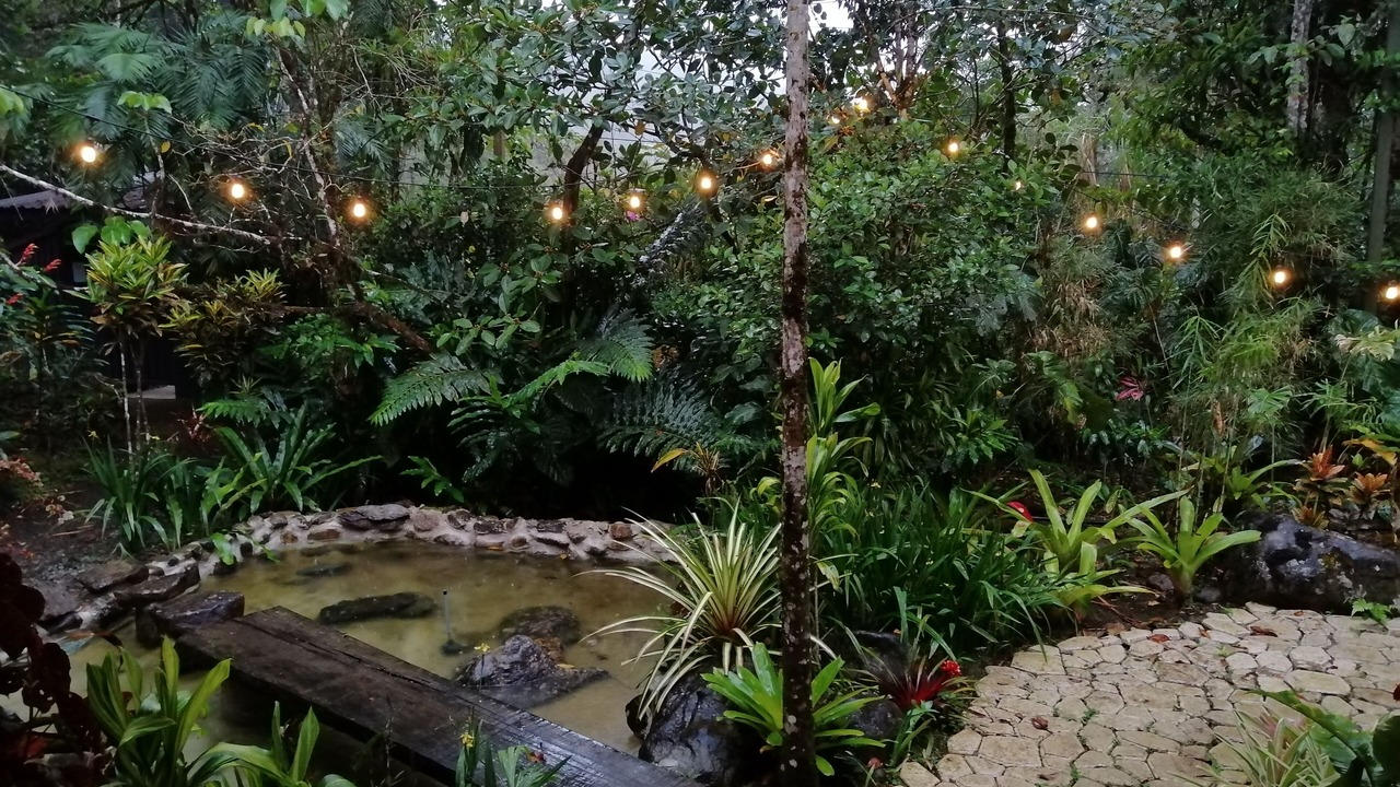 Photo of Outdoor in Rivas