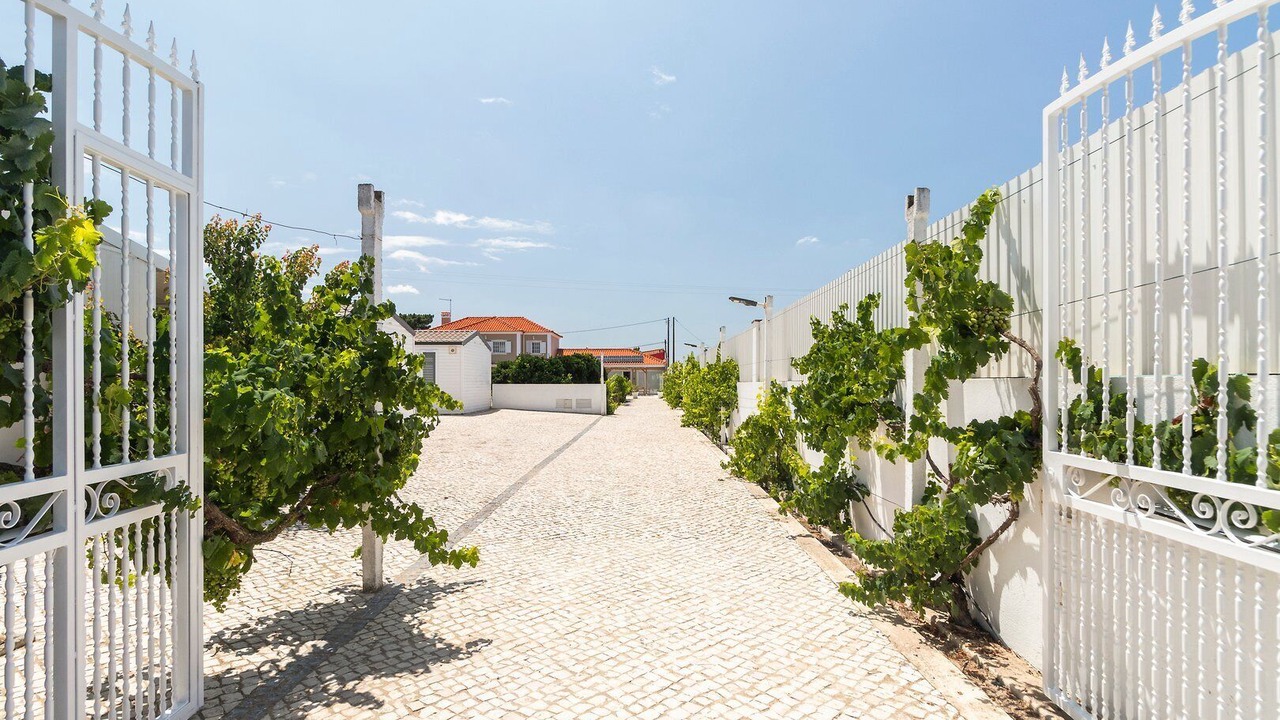 Photo of Outdoor in Palhais