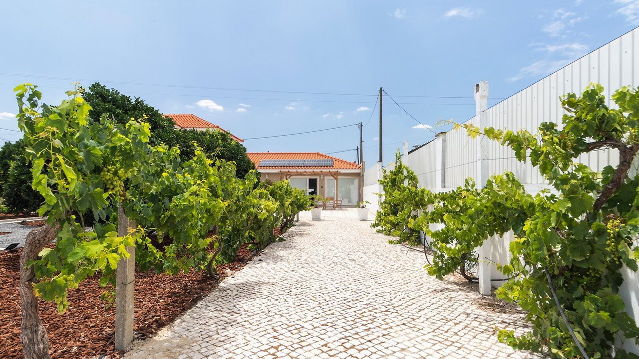 Photo of Outdoor in Palhais