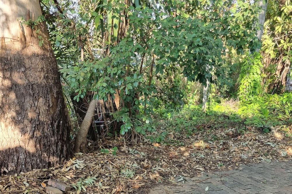 Photo of Outdoor in Nerang