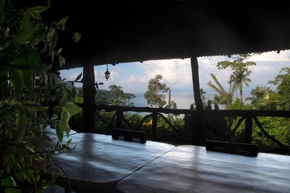 Photo of Outdoor in Drake Bay