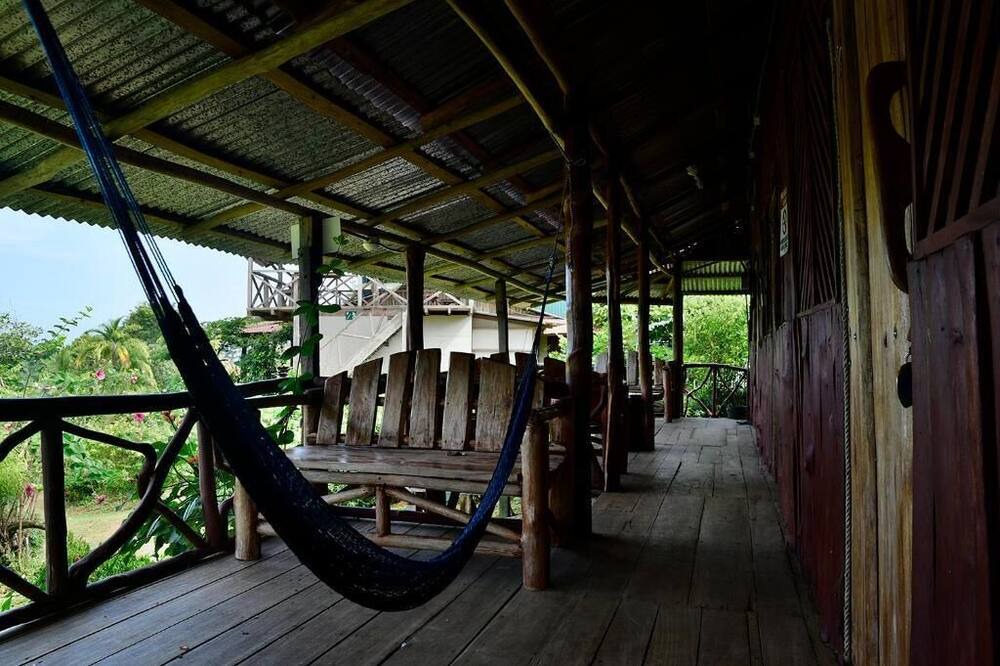 Photo of Outdoor in Drake Bay