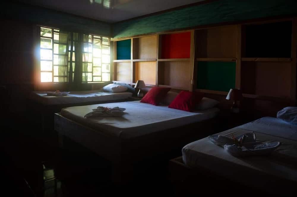 Photo of Bedroom in Drake Bay