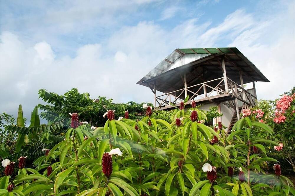 Photo of Outdoor in Drake Bay