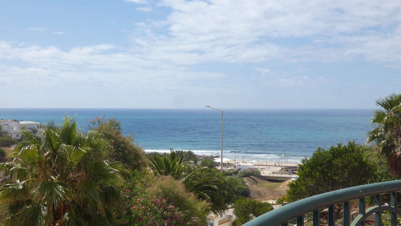 Photo of Others in Porto de Mos