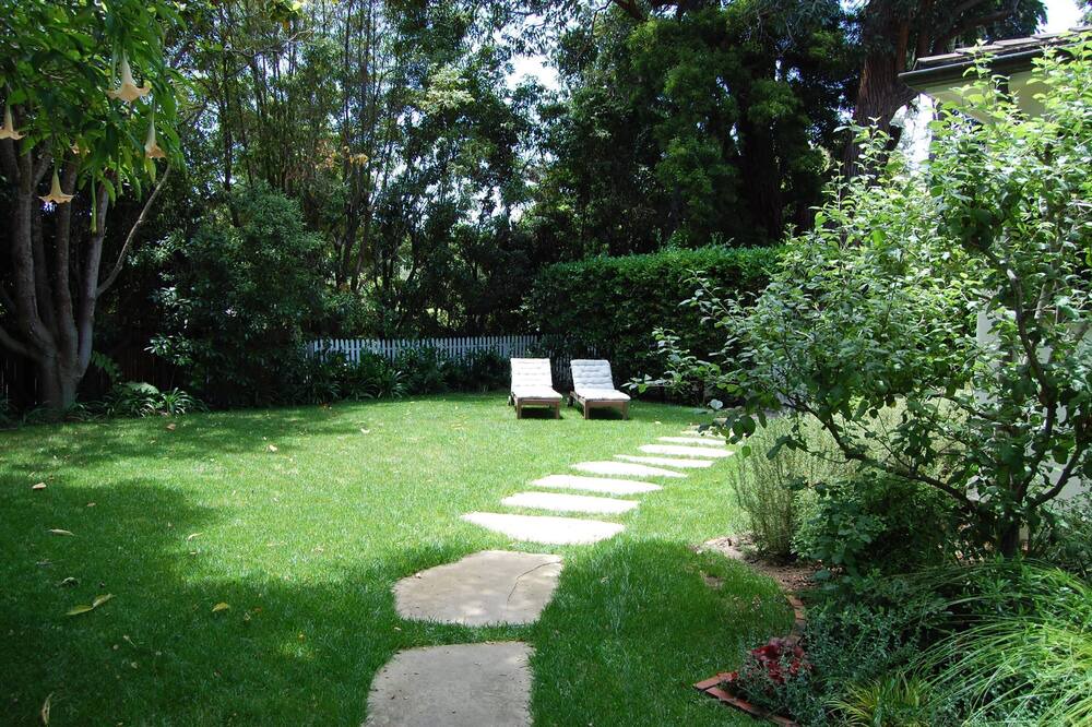 Photo of Outdoor in Hedgerow