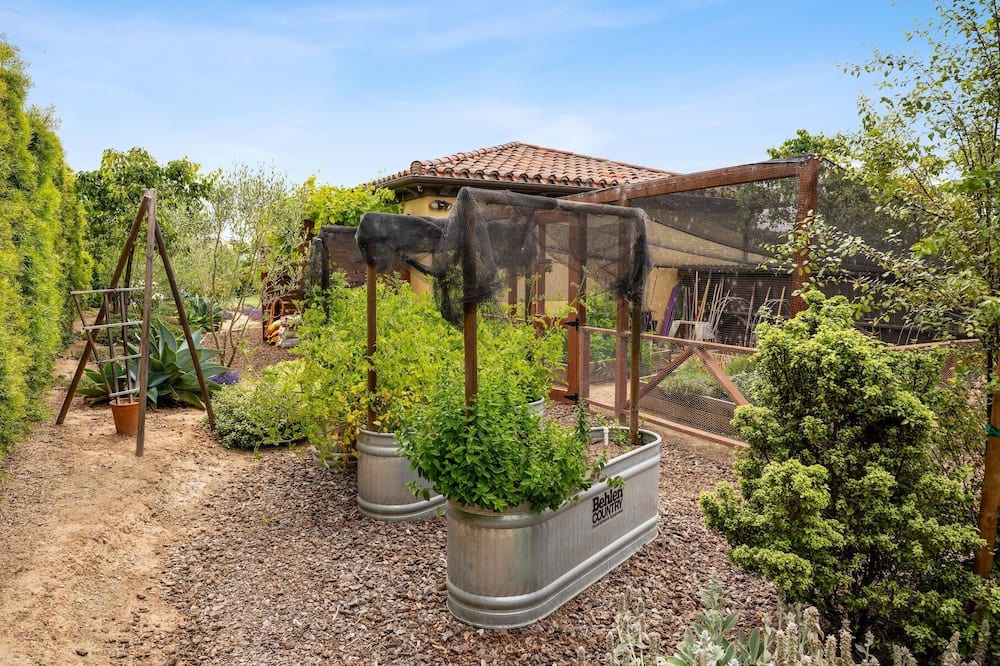 Photo of Outdoor in Toro Canyon
