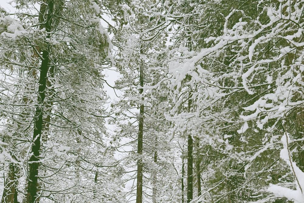 Photo of Outdoor in Altaville