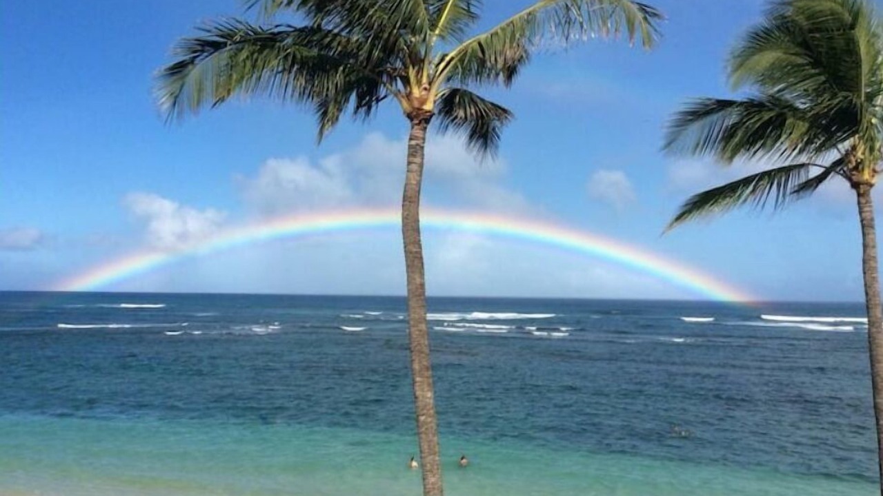 Photo of Others in Mokuleia