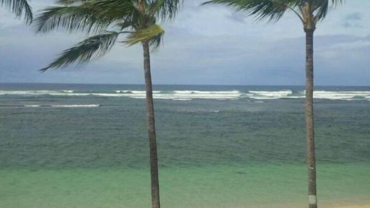 Photo of Others in Mokuleia