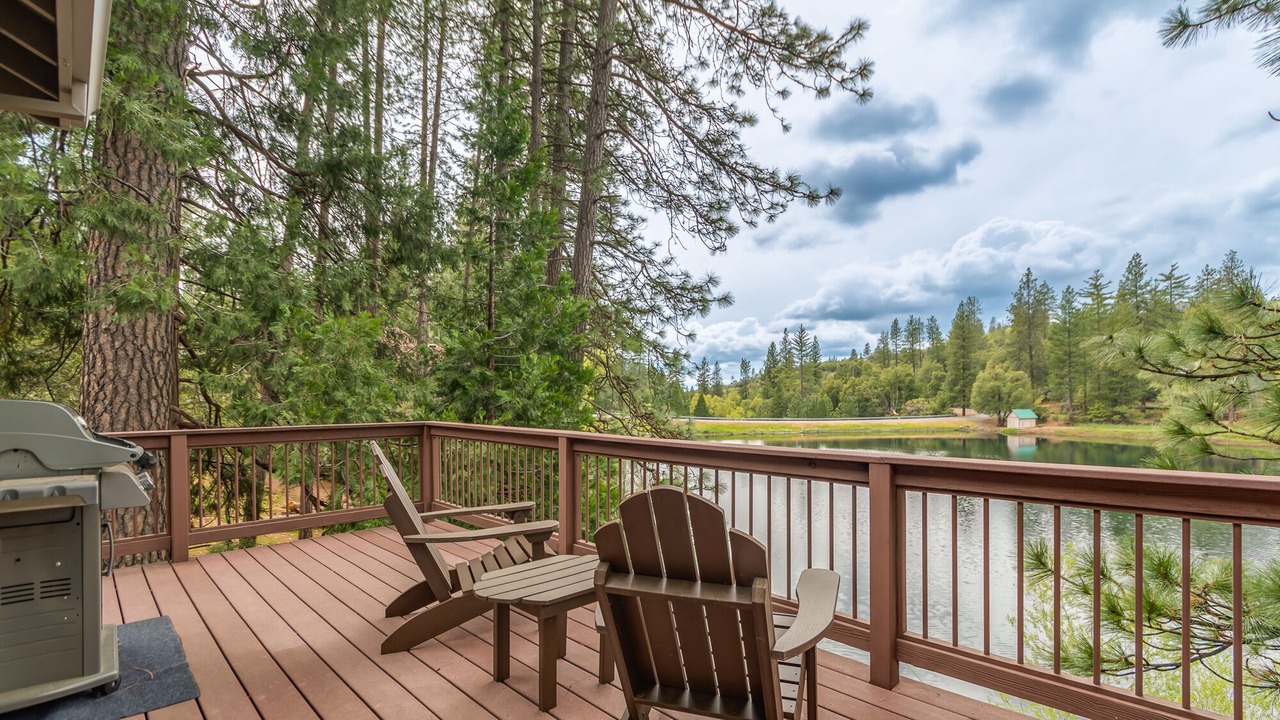 Photo of Outdoor in Forest Meadows