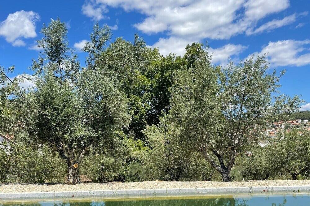 Photo of Outdoor in Cotas