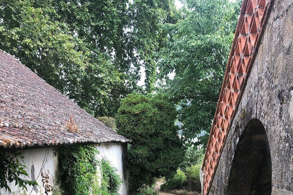 Photo of Outdoor in Cotas