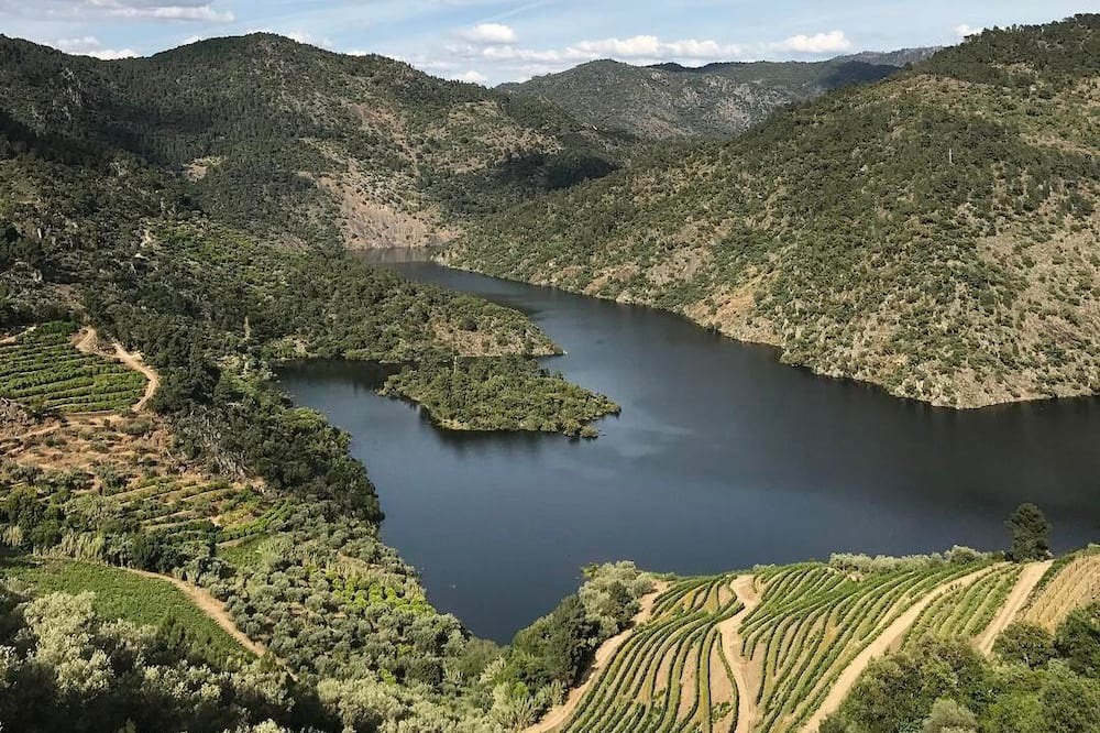 Photo of Outdoor in Cotas